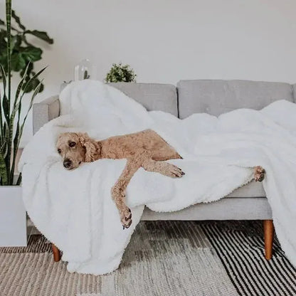 Factory Sale: Premier Plush™ Blanket