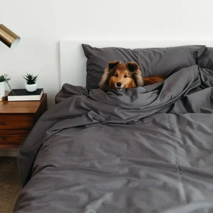 Factory Sale: Sateen Dream™ Pillowcases
